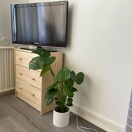 Soukkapuisto, Tammerfors